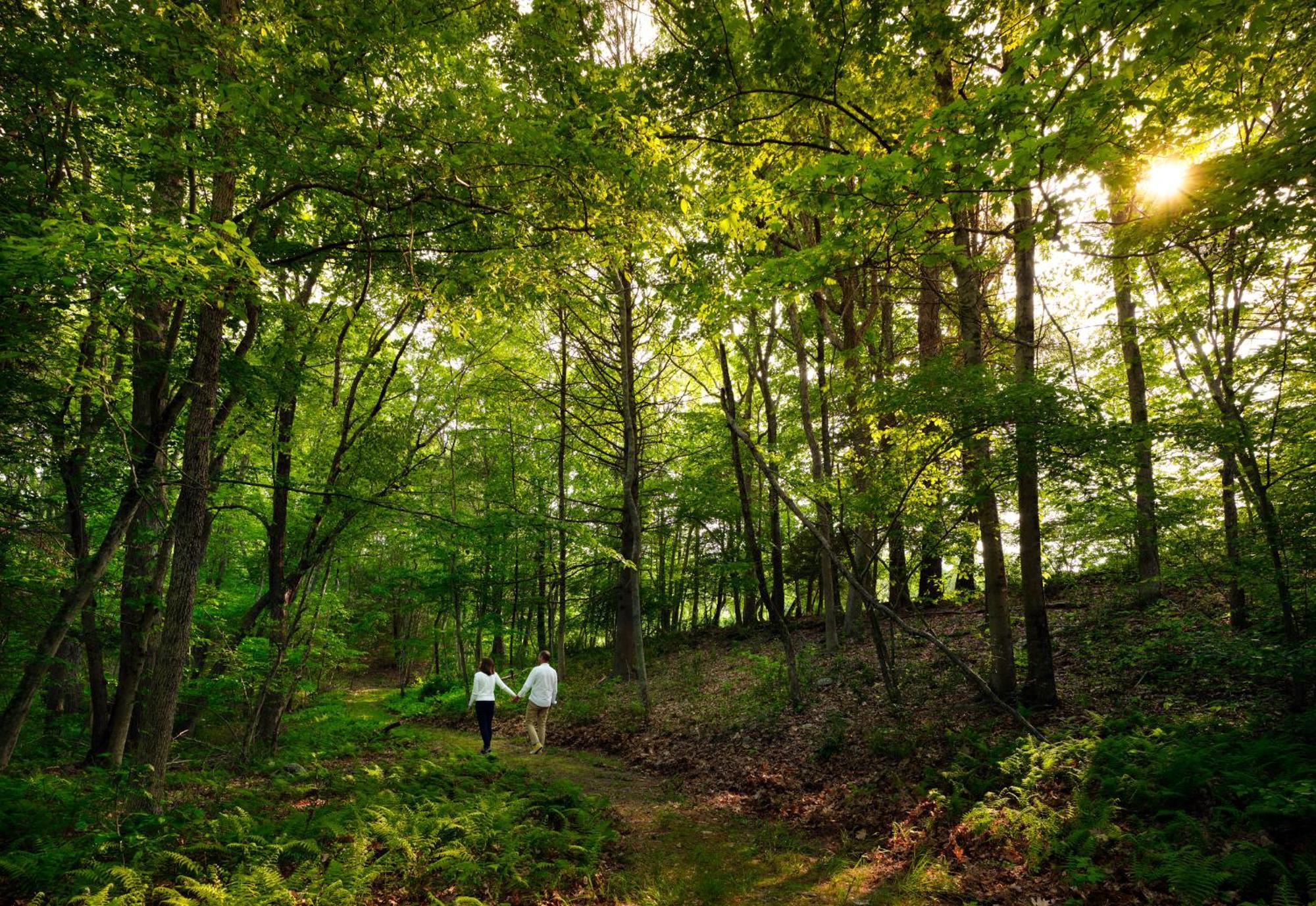 Abbey'S Lantern Hill Inn Ledyard Center Luaran gambar